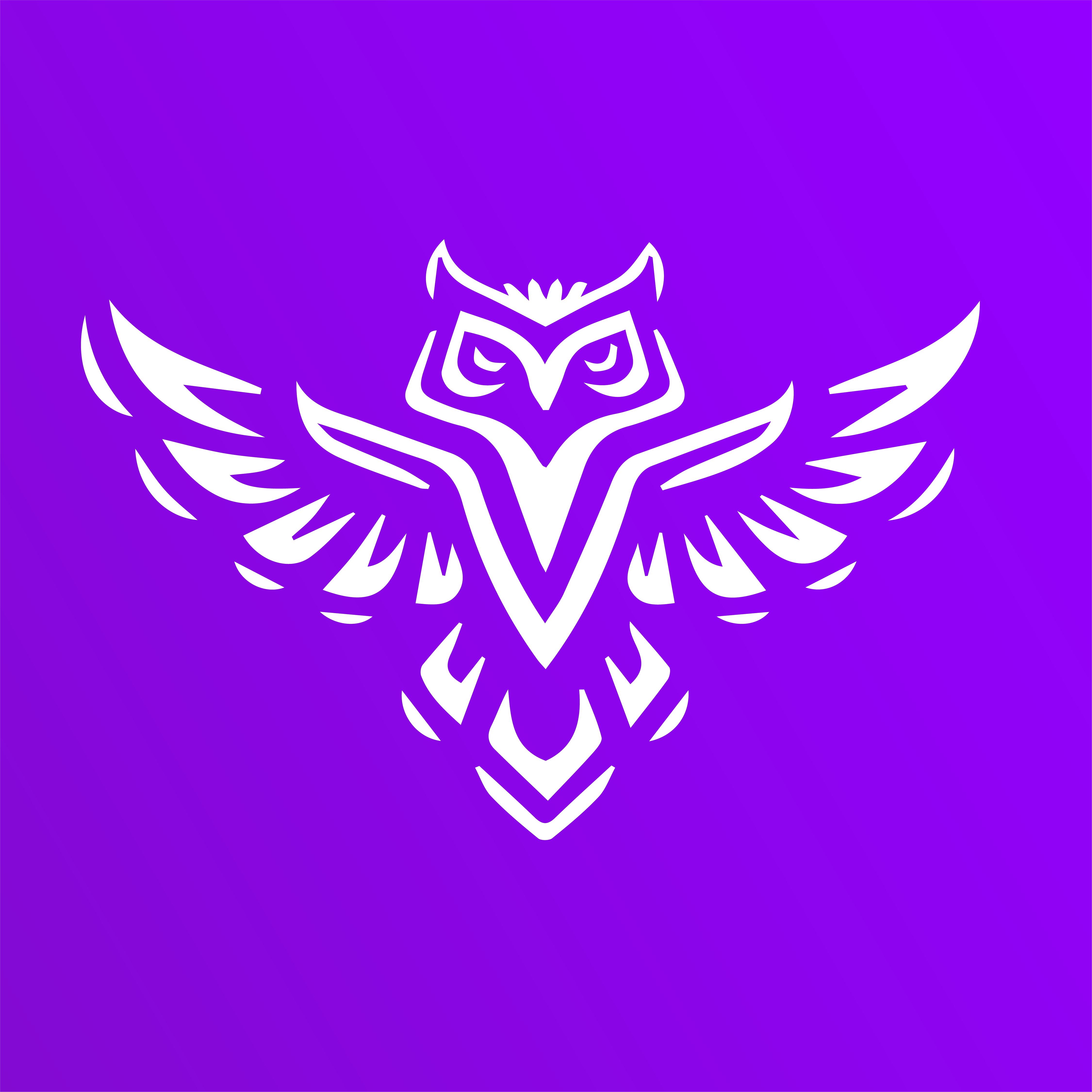 TYTO.code mascote coruja